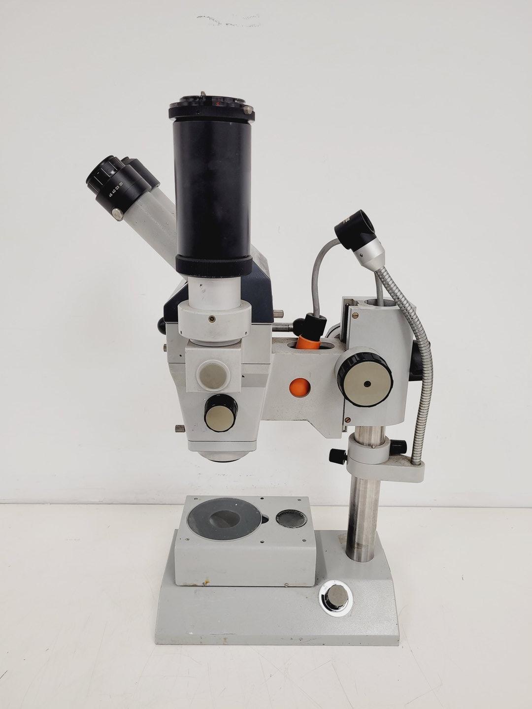 Image of Zeiss StemiSR Stereo Microscope Lab