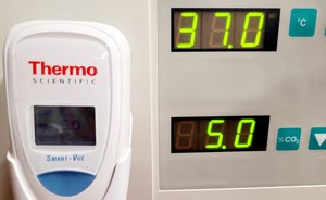 Thumbnail image of Thermo Electron HERAcell 150 CO2 Laboratory Incubator Lab