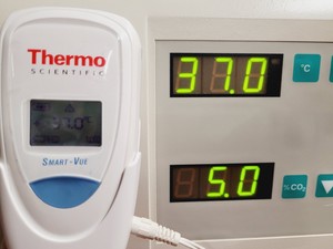 Thumbnail image of Thermo Electron HERAcell 150 CO2 Laboratory Incubator Lab