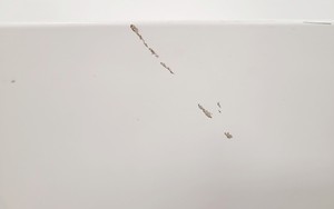 Thumbnail image of Heraeus Function Line Incubator Model B12 Lab
