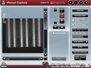 Thumbnail image of Syngene G:Box F3 Chemiluminescence Fluorescence Gel System Lab