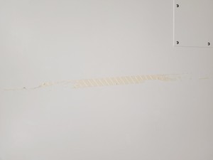 Thumbnail image of New Brunswick U570  ULT Ultra Low Temperature Freezer U570-86G