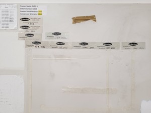 Thumbnail image of New Brunswick U570  ULT Ultra Low Temperature Freezer U570-86G Faulty