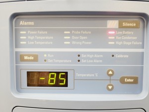 Thumbnail image of Thermo Scientific Forma 905 -86 ULT Laboratory Freezer Lab