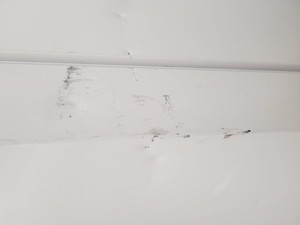 Thumbnail image of New Brunswick U570 ULT Ultra Low Temperature Freezer U570-86G