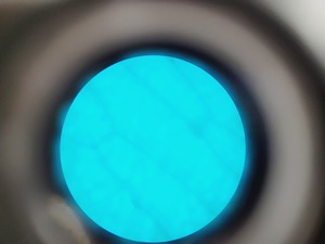 Thumbnail image of VWR  VisiScope BL224PL T1 Digital Microscope with 4 x 160/ 0.17 Objectives Lab