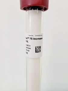 Thumbnail image of Lot of 8 GE & Cytiva FPLC Chromatography Columns  Lab