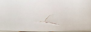 Thumbnail image of Lot of 8 GE & Cytiva FPLC Chromatography Columns  Lab