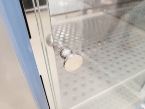 Thumbnail image of Thermo Scientific Heratherm IGS400 Incubator Lab