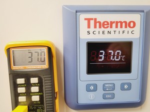 Thumbnail image of Thermo Scientific Heratherm IGS400 Incubator Lab