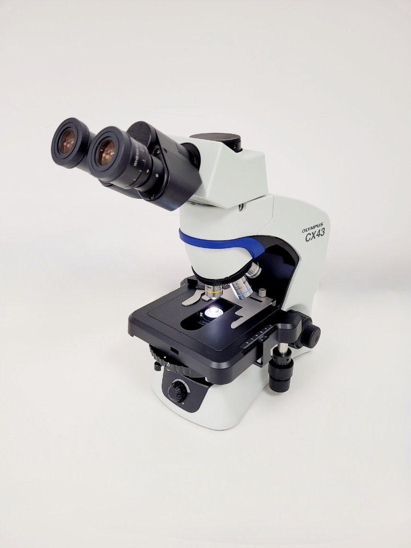 Image of Olympus CX43 CX43RF Biological Microscope w/ 4x Objectives Lab