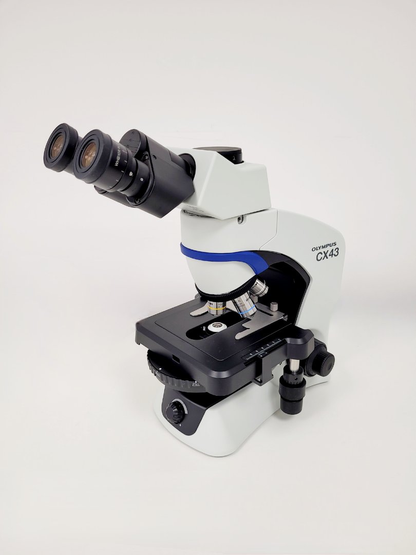 Image of Olympus CX43 CX43RF Biological Microscope w/ 4x Objectives Lab