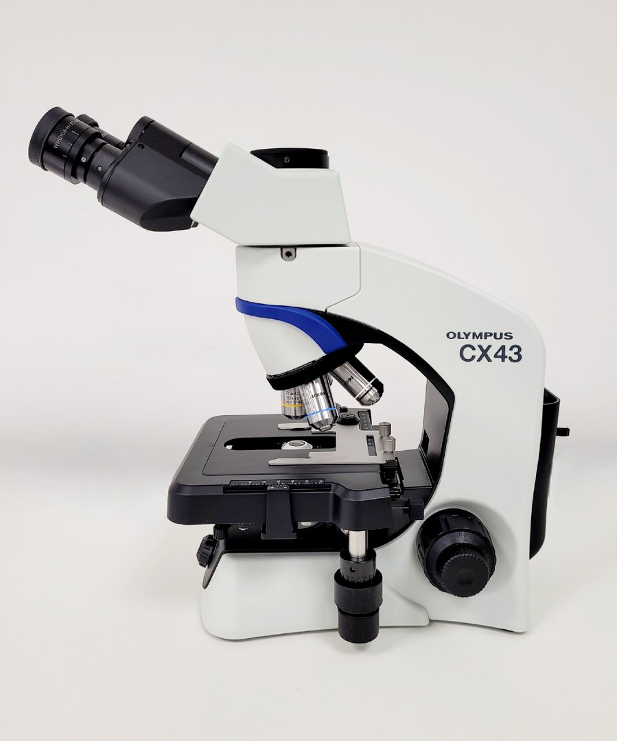 Image of Olympus CX43 CX43RF Biological Microscope w/ 4x Objectives Lab