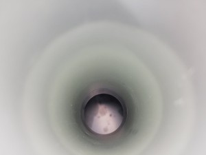 Thumbnail image of Air Liquide GT35 Liquid Nitrogen Dewar lab