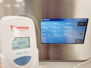Thumbnail image of Eppendorf New Brunswick S41i CO2 Incubator Shaker Lab