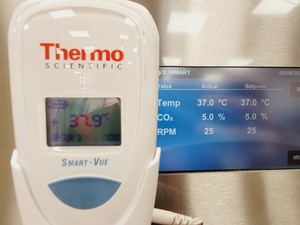 Thumbnail image of Eppendorf New Brunswick S41i CO2 Incubator Shaker Lab