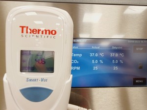 Thumbnail image of Eppendorf New Brunswick S41i CO2 Incubator Shaker Lab