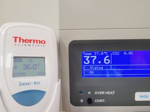 Thumbnail image of Sanyo  Laboratory CO2 Incubator MCO-19AIC Lab