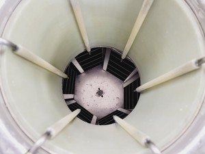 Thumbnail image of Jencons Taylor Wharton LS3000 Liquid Nitrogen Dewar Lab