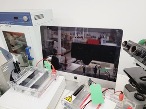 Thumbnail image of Job Lot of Laboratory & IT/AV Equipements - Water baths - Glassware 
