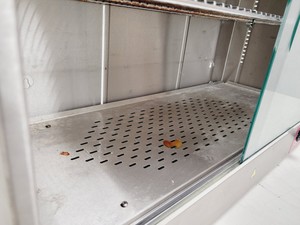 Thumbnail image of LTE Scientific Benchtop Drying Cabinet Model 322/0101/00 Lab