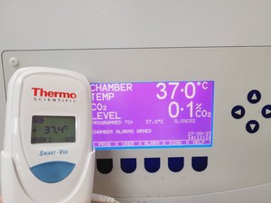 Thumbnail image of New Brunswick Scientific Galaxy 170 R CO2 Incubator Lab