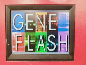 Thumbnail image of Syngene Geneflash Bio Imaging Gel Doc System & GVM20 UV / White Transilluminator