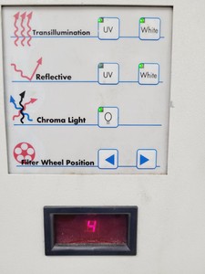 Thumbnail image of Alpha Innotech Alpalmager 3400 Gel Imaging Transilluminator Lab