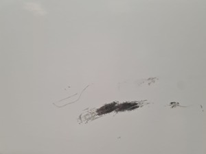Thumbnail image of Envair Laminar Flow Cabinet Lab