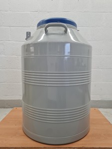 Thumbnail image of Taylor-Wharton LS6000 Liquid Nitrogen Cryogenic Storage Tank 