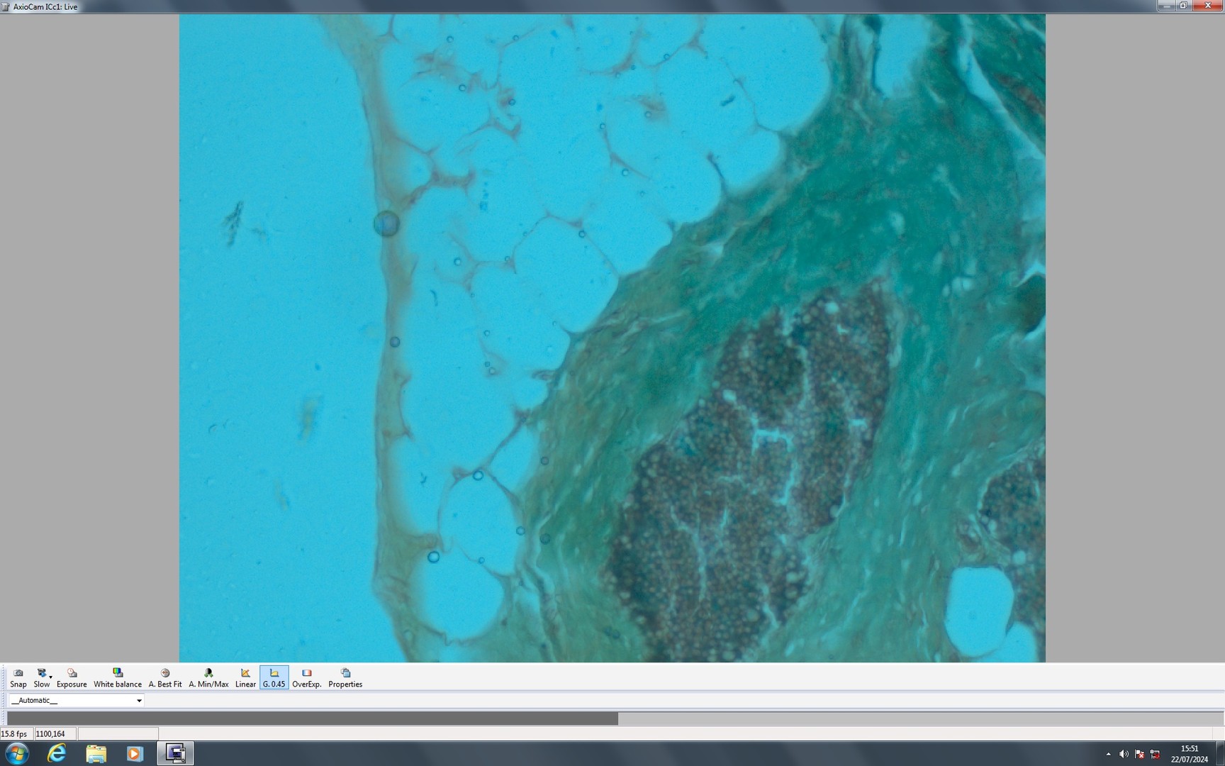 Image of Zeiss Observer.Z1 Inverted Fluorescence Motorised Microscope