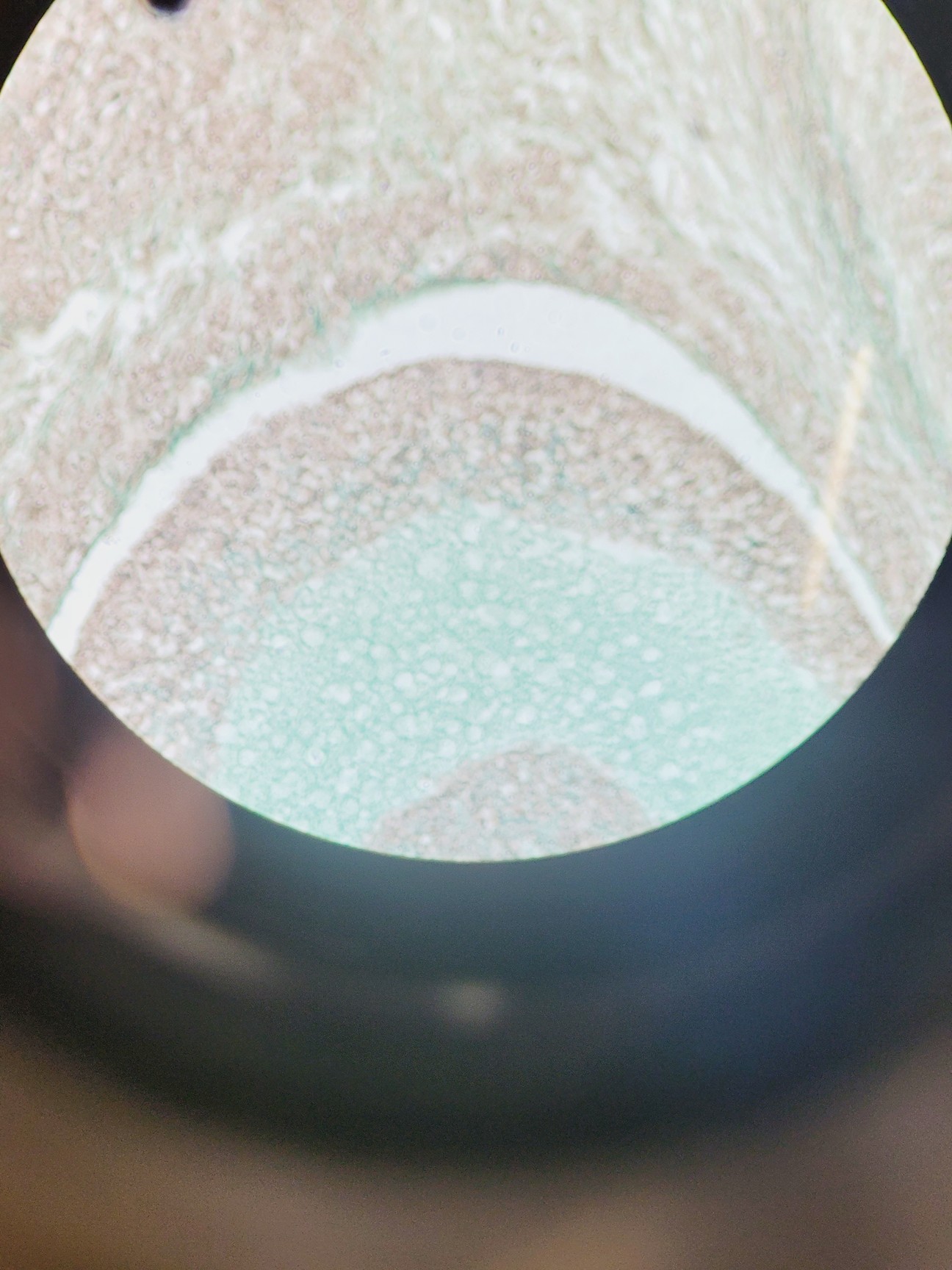 Image of Zeiss Observer.Z1 Inverted Fluorescence Motorised Microscope
