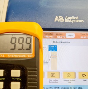 Thumbnail image of Applied Biosystems Veriti 384 Well Thermal Cycler Lab