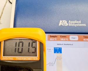 Thumbnail image of Applied Biosystems Veriti 96 Well Thermal Cycler Lab