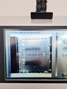 Thumbnail image of Syngene U:Genius 3 Gel Imaging System Lab