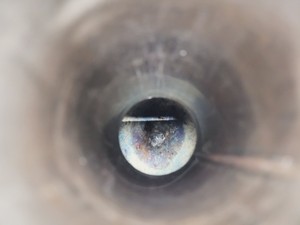 Thumbnail image of Boc Cryoproducts EC50 Liquid Nitrogen Dewar Lab Spares or Repairs