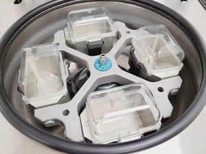 Thumbnail image of Hettich Zentrifugen Rotanta 96R Refrigerated Centrifuge Type 4470 & Rotor