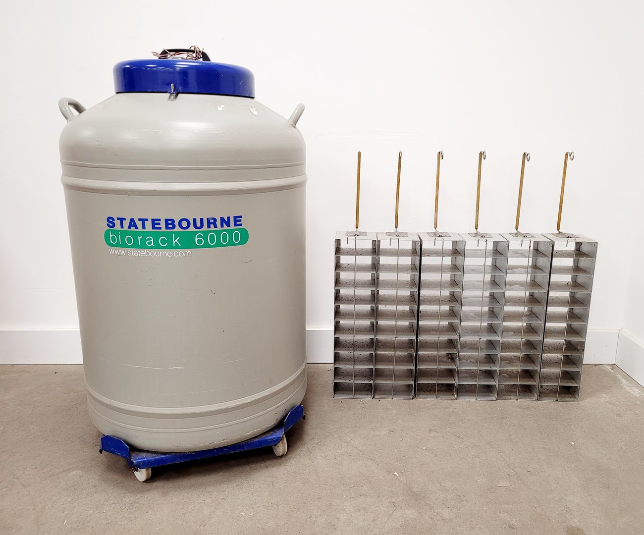 Image of Statebourne Biorack 6000