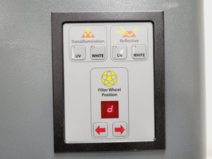 Thumbnail image of Alpha Innotech FluorChem Gel Imaging System Lab