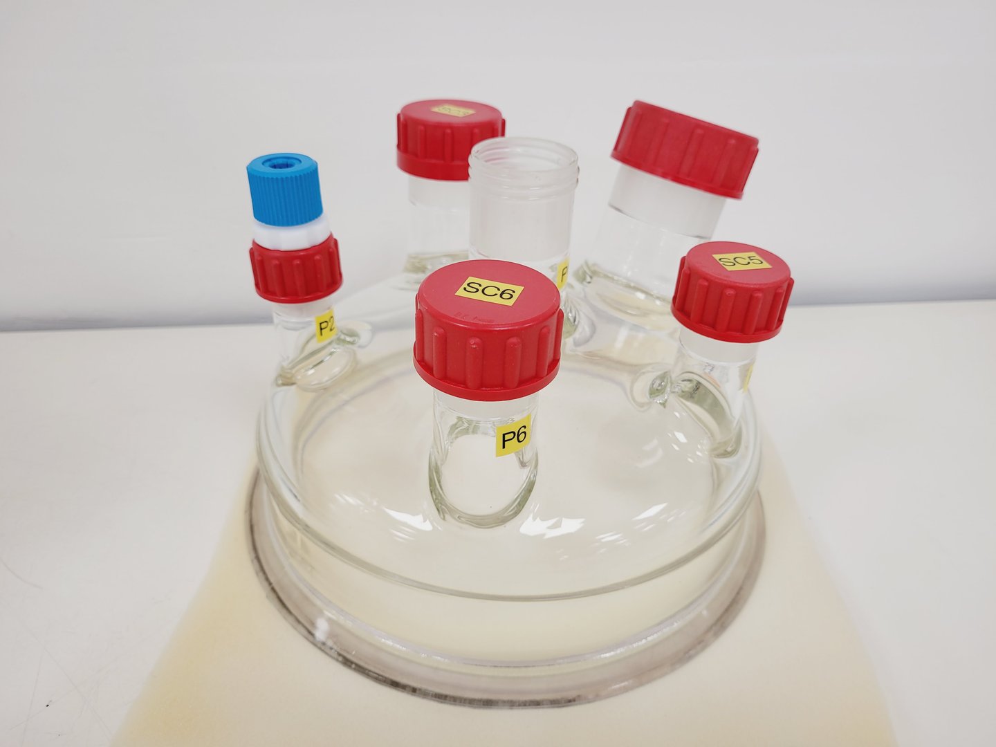 Image of Radleys Reactor-Ready Pilot 20 Litre Jacketed Vessel Lab