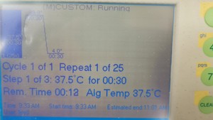 Thumbnail image of BIO-RAD iCycler Thermal Cycler with iQ5 Multicolor PCR Detection System Lab