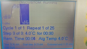 Thumbnail image of BIO-RAD iCycler Thermal Cycler with iQ5 Multicolor PCR Detection System Lab