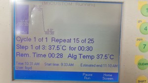 Thumbnail image of BIO-RAD iCycler Thermal Cycler with iQ5 Multicolor PCR Detection System Lab