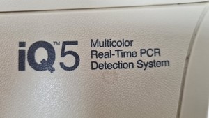 Thumbnail image of BIO-RAD iCycler Thermal Cycler with iQ5 Multicolor PCR Detection System Lab