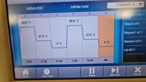 Thumbnail image of Bio-Rad C1000 Touch Thermal Cycler + CFX96 Real Time System Lab