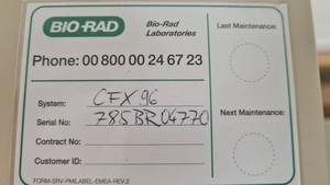 Thumbnail image of Bio-Rad C1000 Touch Thermal Cycler + CFX96 Real Time System Lab