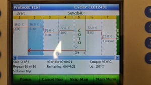 Thumbnail image of BIO-RAD C1000 Dual Block Thermal Cycler Lab
