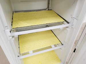 Thumbnail image of Lec Technical ISU55 Laboratory Freezer Lab