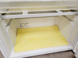 Thumbnail image of Lec Technical  Lab Freezer ISU55 Laboratory