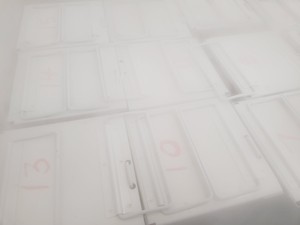 Thumbnail image of PHCBI Ultra Low Temperature -150˚C Freezer MDF-C2156VAN VIP Series Lab